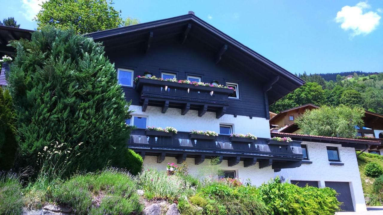 Emma Apartment Bramberg am Wildkogel Ngoại thất bức ảnh